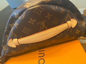 LV Bumbag