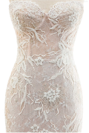 Lace Mermaid Fitted Gown